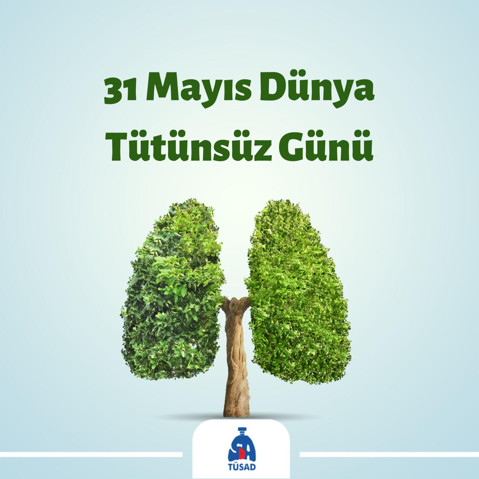 31mayis dunya tutunsuz gunu